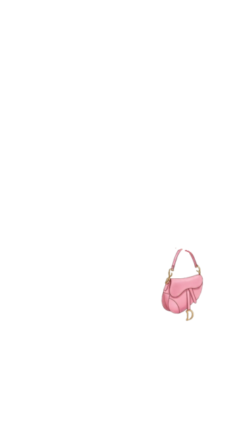 Bag Pinkito