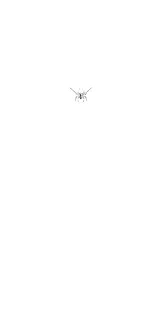Spider Chain