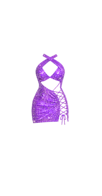 Anitta Purple Dress