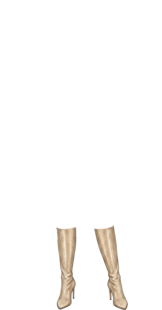 Knee-High Champagne Stiletto Boots
