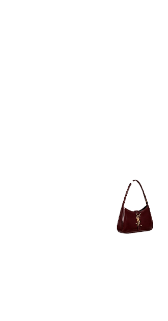 Saint Laurent bag (anti skin)
