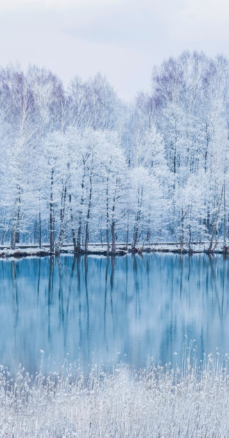 Icy Lake