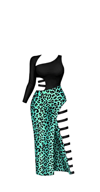 Fierce Leopard