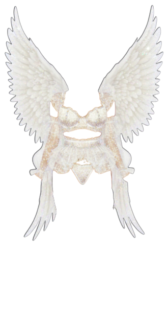 Victoria s Secret Gisele Bundchen