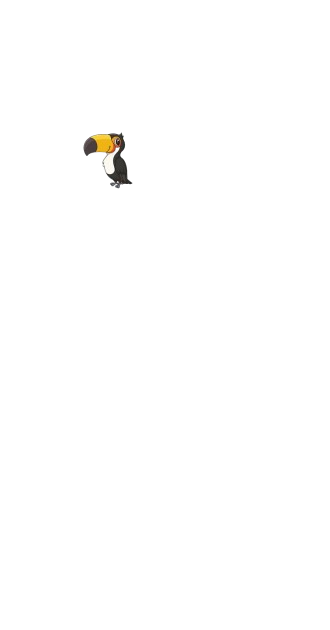 Pet Toucan (Female)