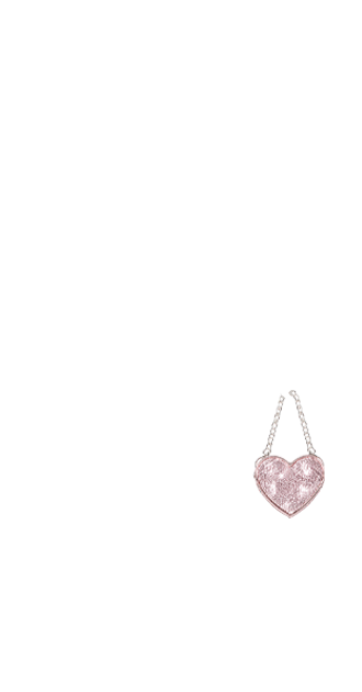 Sparkly Pink bag (anti skin)
