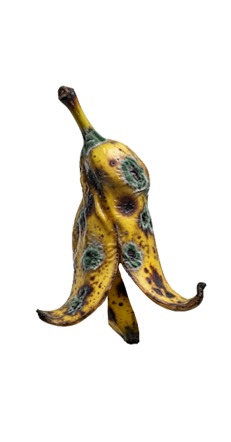 Moldy Banana Dress