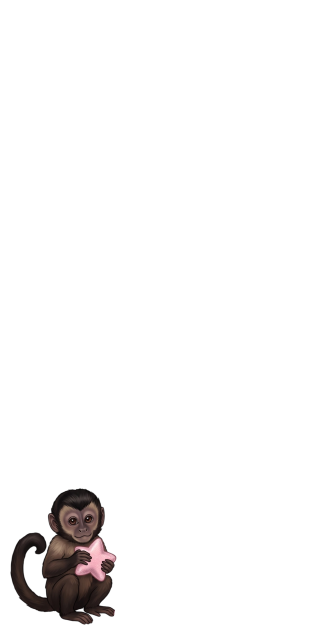 Macaquinho