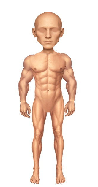 Skin Final Male By Nena
