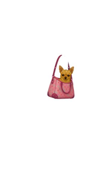 Beverly Hills Chihuahua inside Pink Louis Vuitton Designer Shoulder Bag