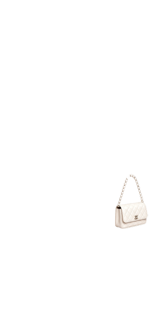 Chanel bag (anti skin)