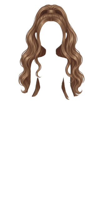 LightBrownHalfUp