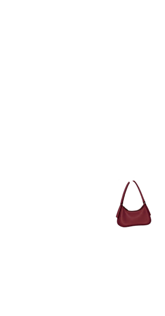 Simple Burnt Red Mini Purse