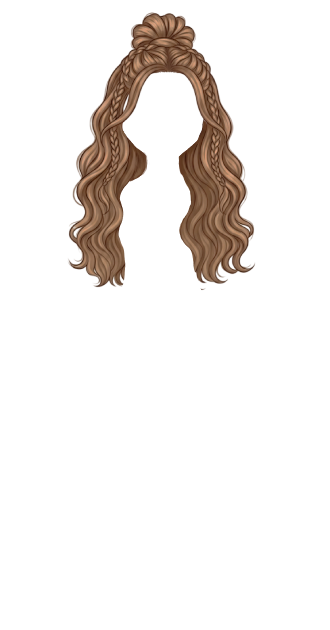 Light Brown Braid Bun