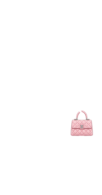 Petal Pink Chanel Bag