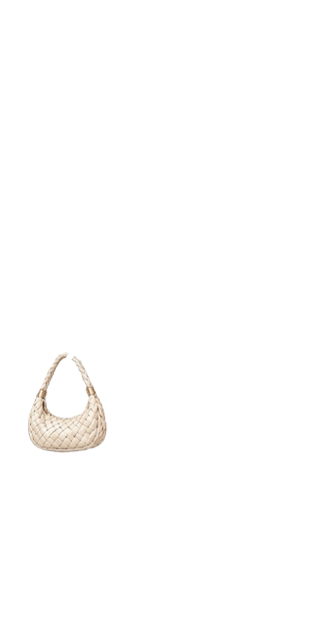Leather Bag (anti skin)