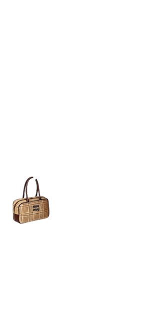 Miu Miu bag (anti skin)
