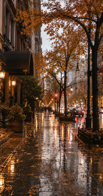 rainy fall street