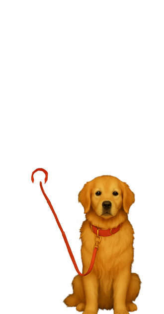 Mans Best Friend - Golden Retriever