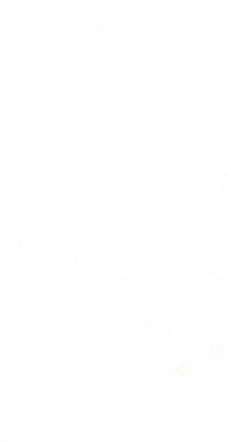 White Glitter Filter