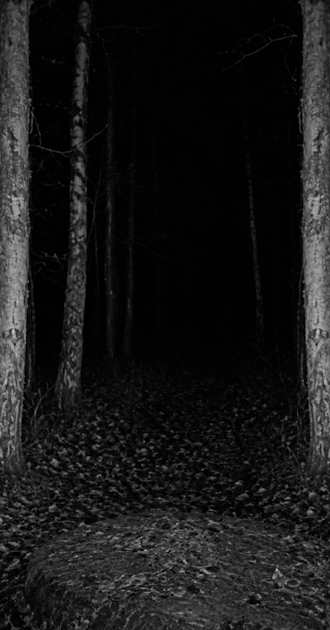 Lost In The Woods