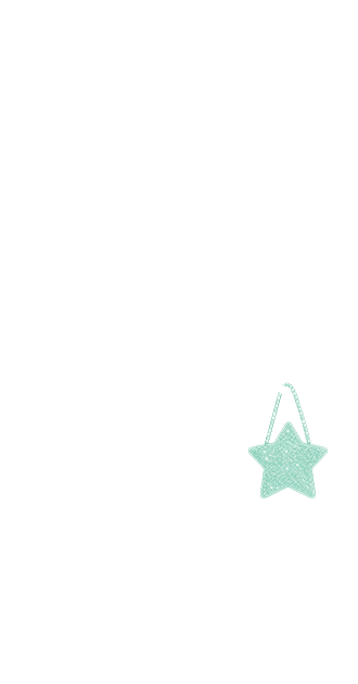 Estrella Purse (Mint)