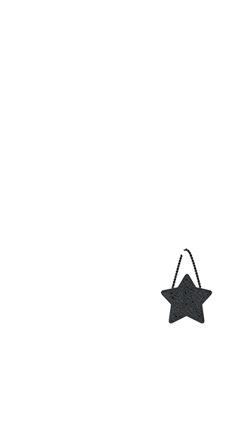 Estrella Purse (Noir)