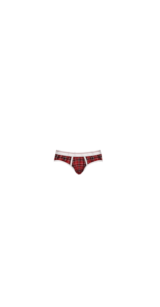 Red Plaid Underwear