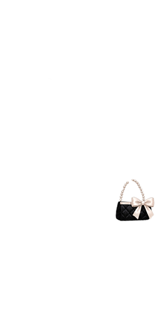 Parisian Bag (anti skin)