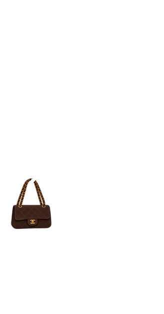 Mocha Chanel Bag