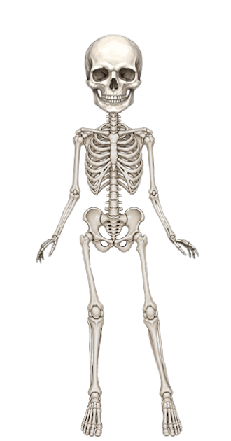 Tisha Skeleton Skin