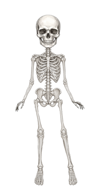 Tisha Skeleton Skin