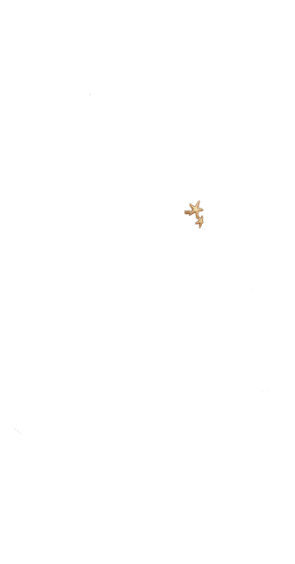 Brazalet Estrellosa