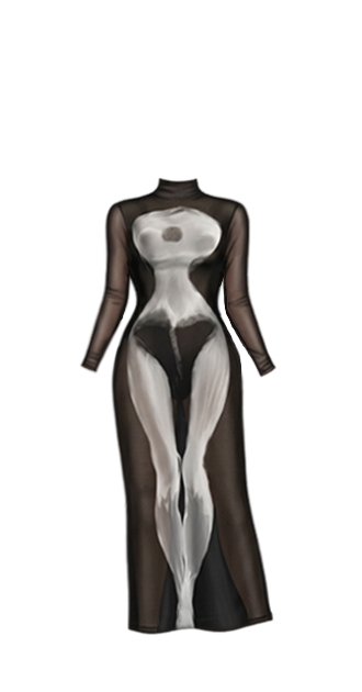Sheer Dress