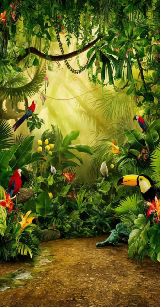 Forest