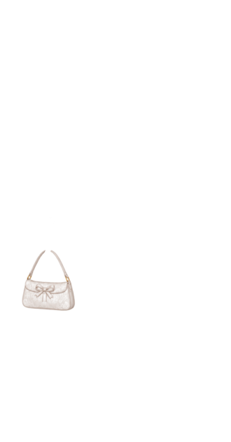 Angelic Purse (anti skin)