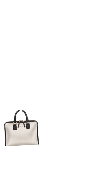 Celine Bag