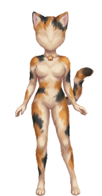 Skin de gata