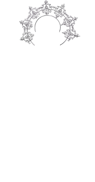 SVirgin  Halo