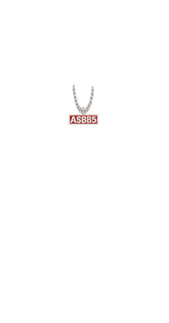 ASBB5 CHAIN (LONG)