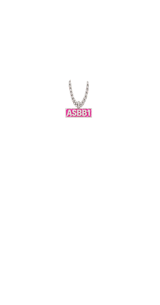 ASBB1 CHAIN (LONG)