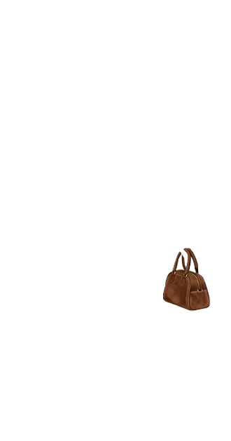 Brown Bag (anti skin)