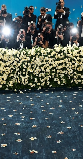 Met Gala Background