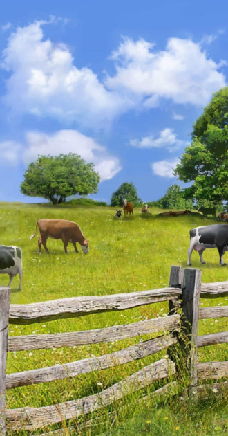 Farm