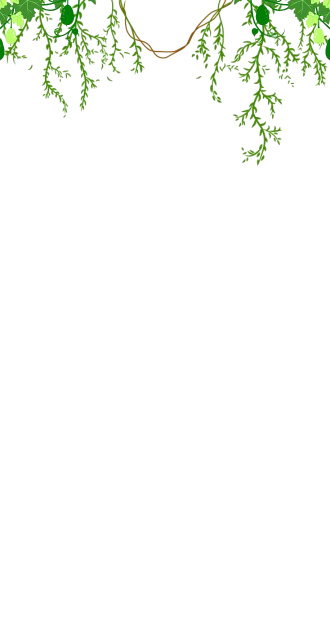 Jungle Vines