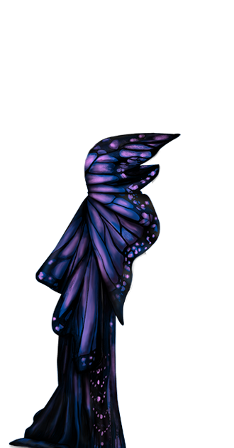 Butterfly Dress By Nena
