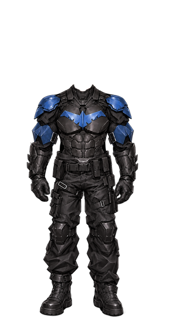 Nightwing Costume