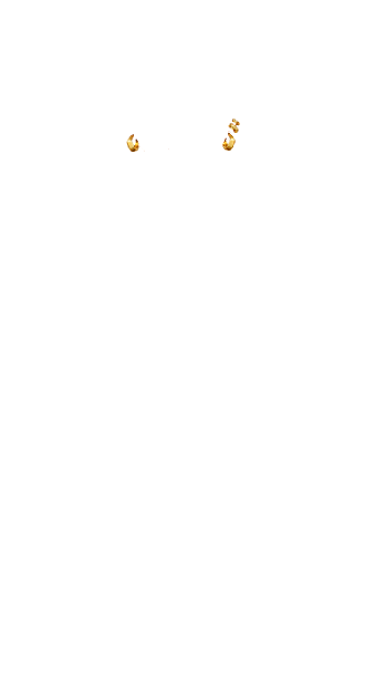 Pavé