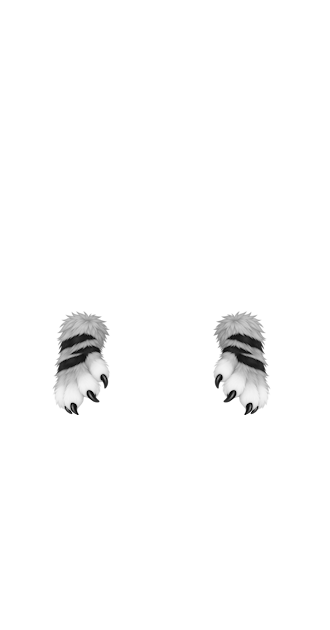 Gray Furty Paws