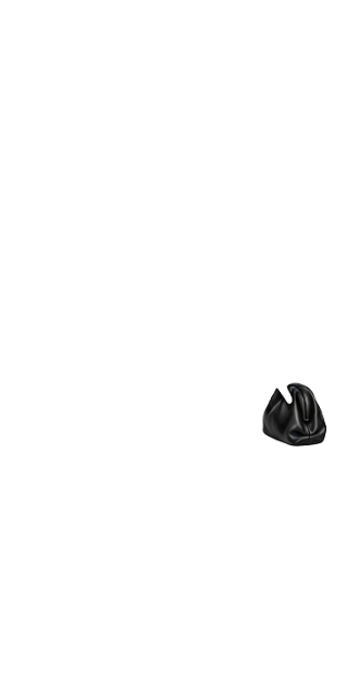 Black Clutch (anti skin)